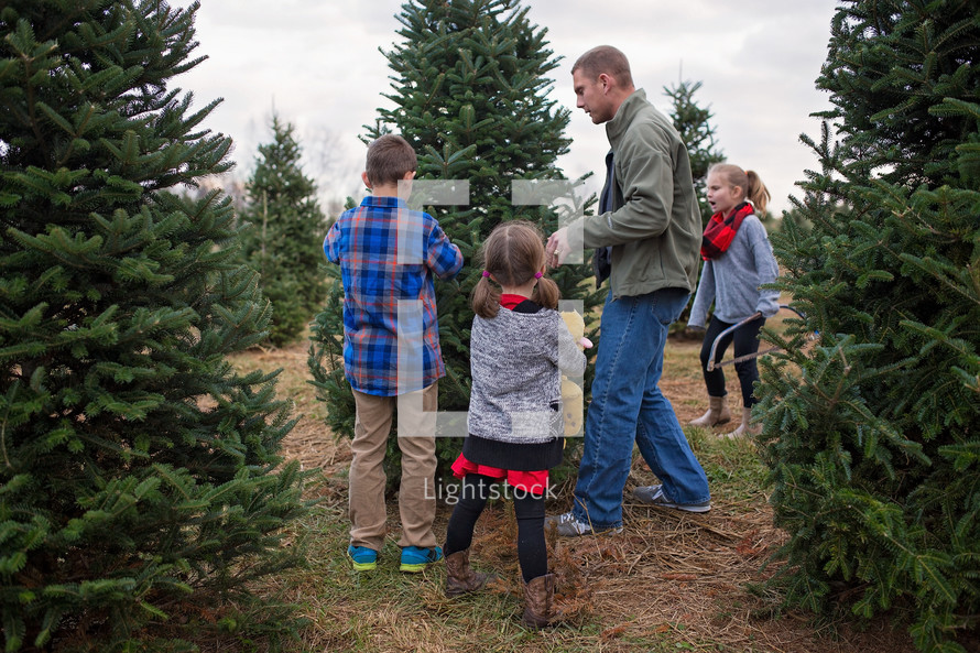 family picking out a Christmas tree 