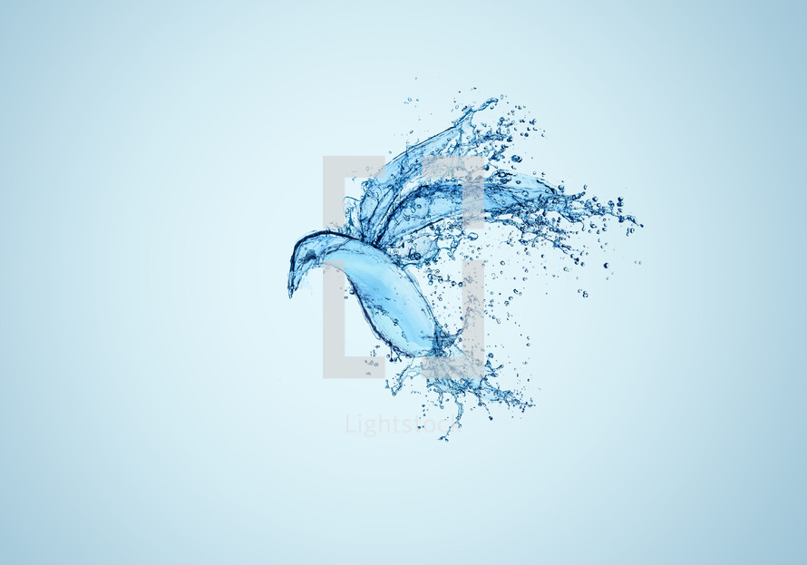 a dove composited using drops and splashes of water - illustrating the Holy Spirit and baptism