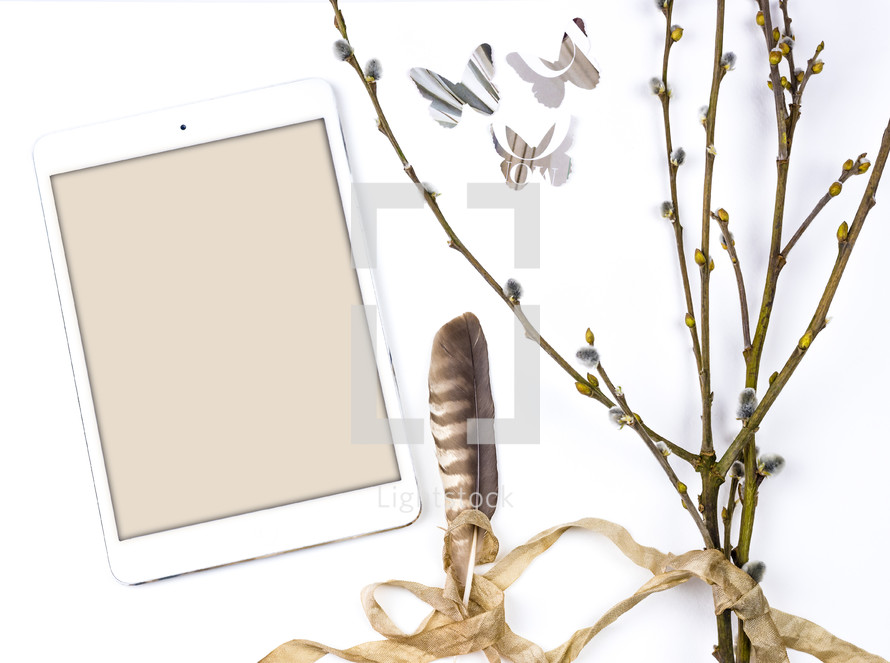 ipad, pussy willow, butterfly, and feather 