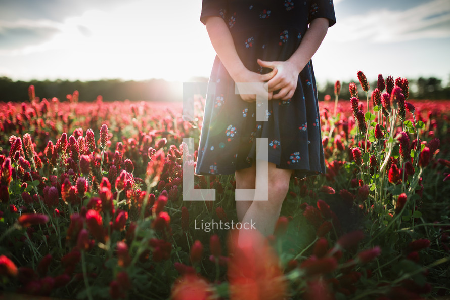 a girl standing in a field of red flowers 