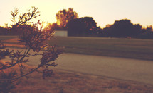 Track and Field | Sunset | New Beginnings | New Day | Summer | Light | Journey 