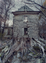 house with tree roots 