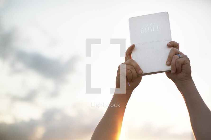 hands holding a Bible in the air 