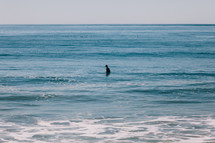man standing in the ocean 