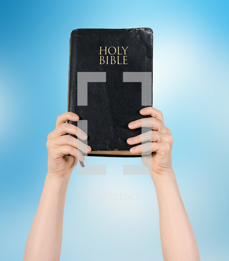 hand holding up a Holy Bible