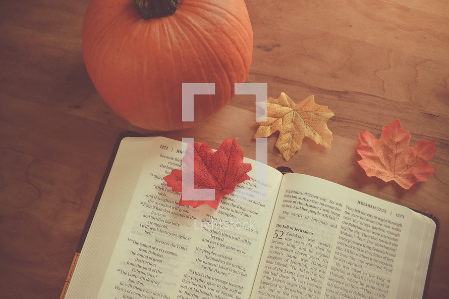 pumpkin and fall leaves with an open Bible 