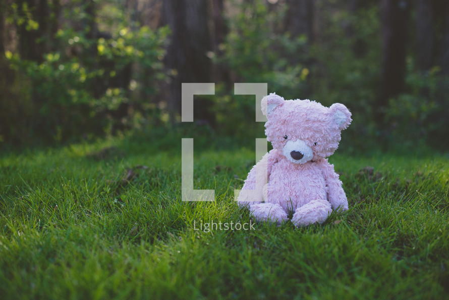 lost teddy bear in the grass