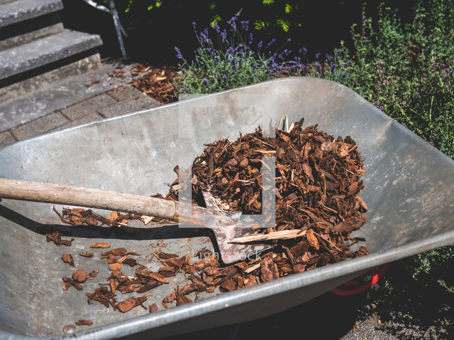 a shovel with mulch from a wheelbarrow in a garden
