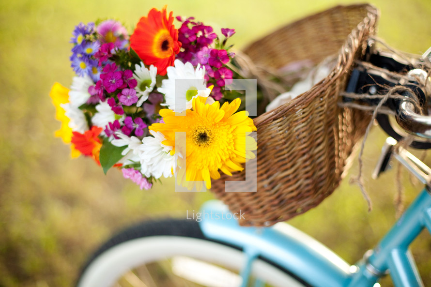 flowers in a bike basket 