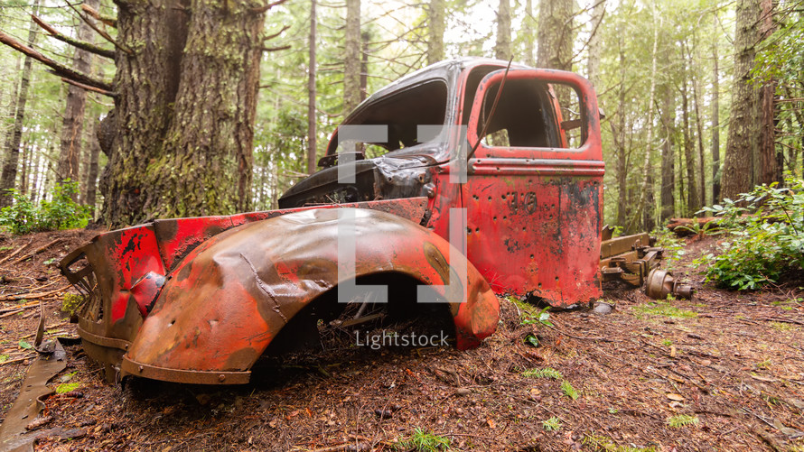 abandoned truck in a forest 