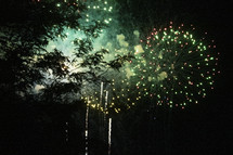 fireworks bursting over trees in the night sky 