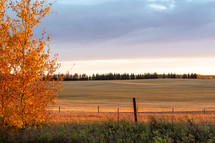 prairie at sunset 