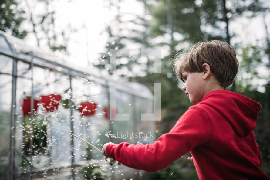 child playing with flower and seeds by a greenhouse 