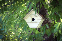 birdhouse in tree