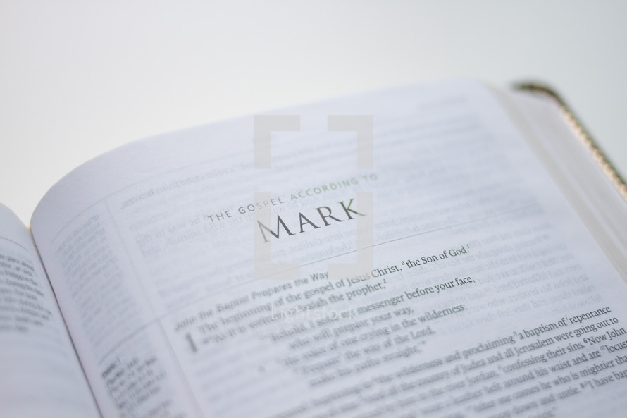 book of Mark in a Bible 