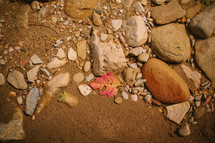 fall leaf and stones 