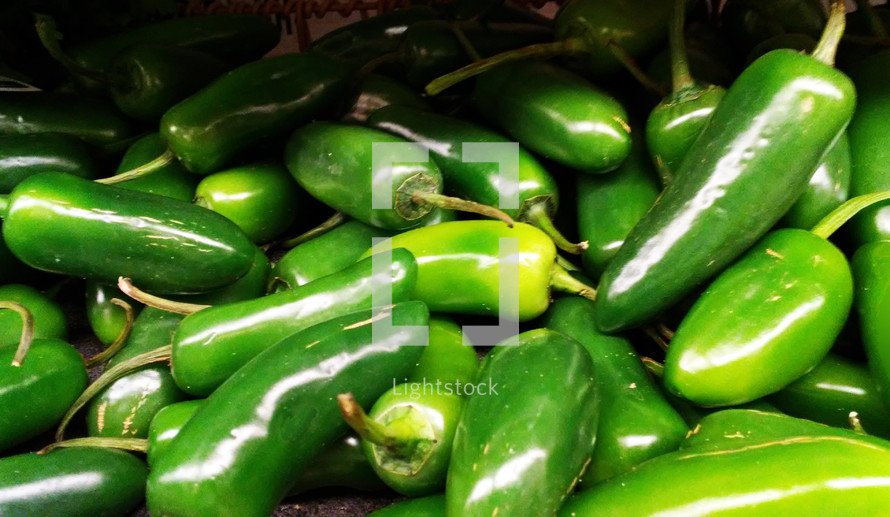 Green Peppers on display at a produce stand ripe and ready to eat and be added to a healthy salad, tacos, barbecue or anything to add some food value. 