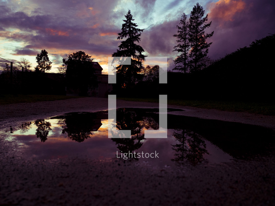 reflection of tree on a pond at sunset under a purple sky 