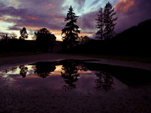 reflection of tree on a pond at sunset under a purple sky 