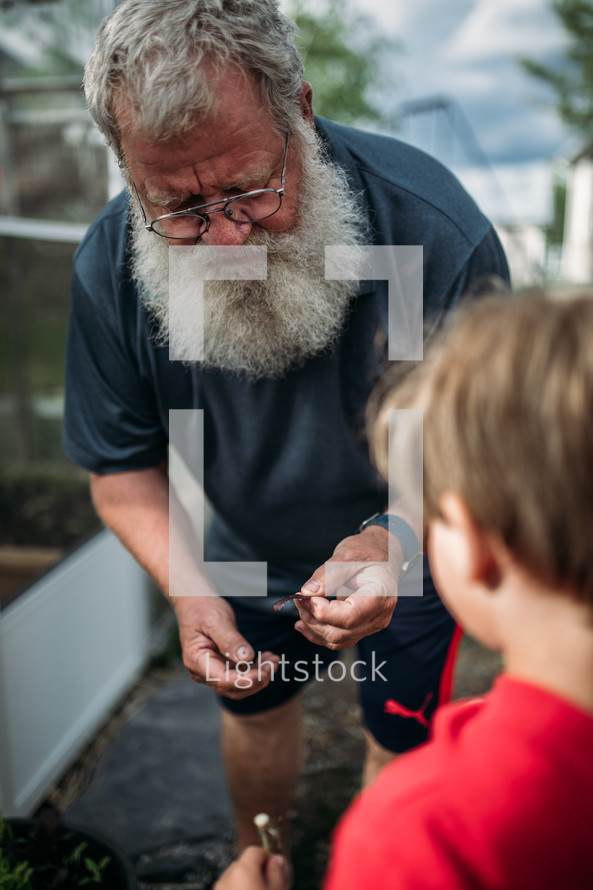 Grandfather and grandson in a greenhouse 