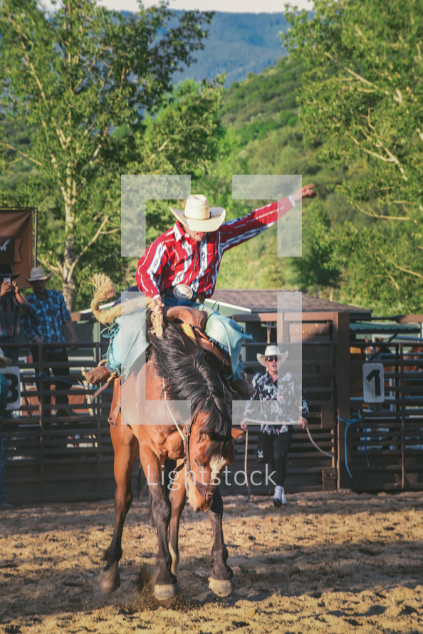 rider at the rodeo 