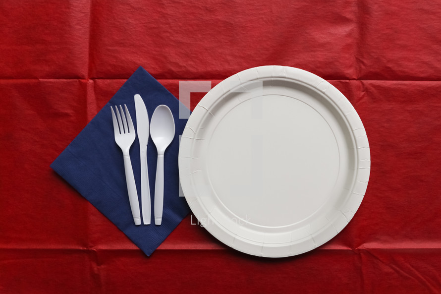 paper plate and napkin place setting 