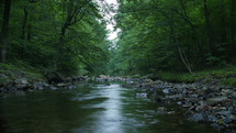 river in a forest 