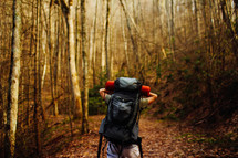 backpacking through a forest 