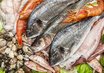 Different types of fresh fish and clams, seafood background.
