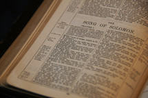 Open Bible in book of Solomon