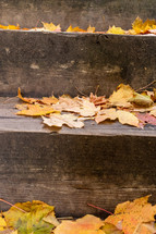 Wooden steps with autumn leaves