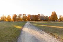 Path leading to orange and yellow autumn trees 