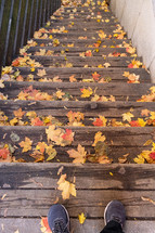 Wooden stairs covered with autumn leaves