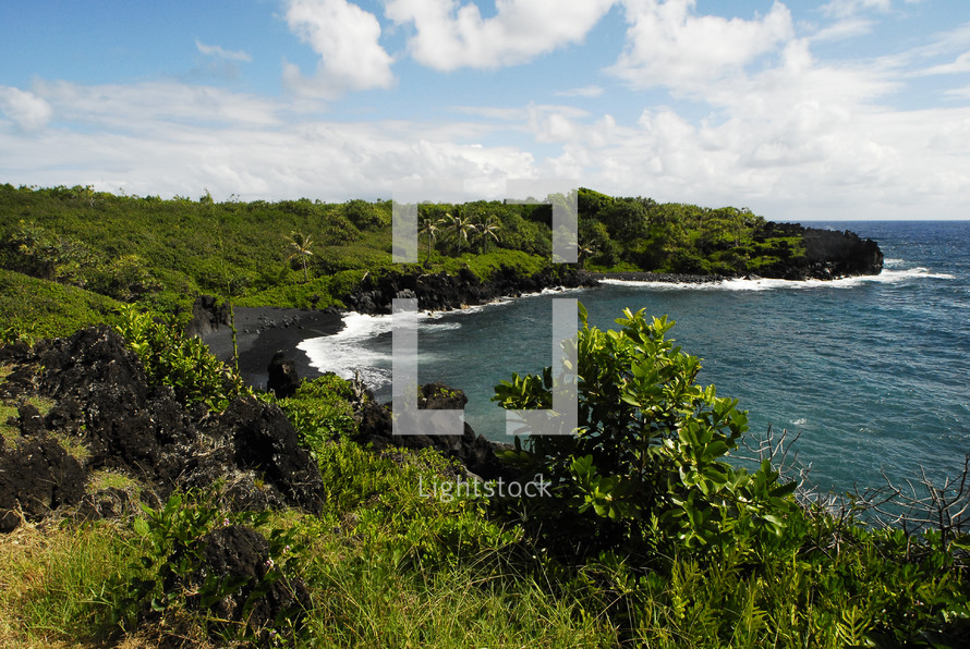 A black sand ocean cove surrounded by green vegetation.