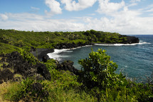 A black sand ocean cove surrounded by green vegetation.