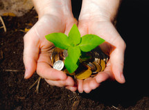 cupped hands holding coins and a sprouting plant 