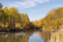 autumn pond 