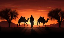 Silhouette of a man with camels in the desert at sunset