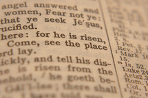 he is risen 