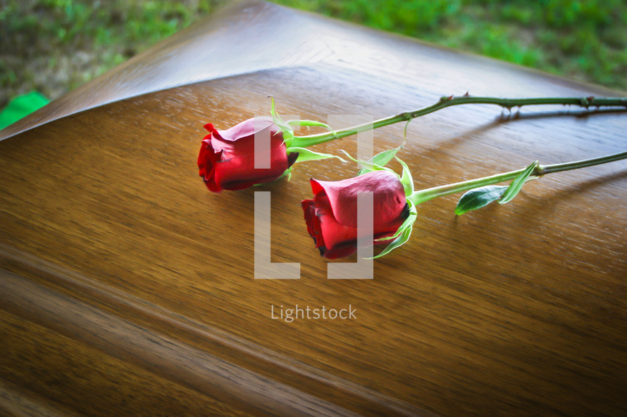Two long-stem roses laying on a wooden casket.