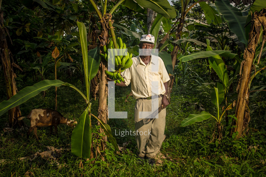 a man holding a machete and a bunch of bananas 