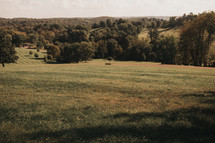 green fields 
