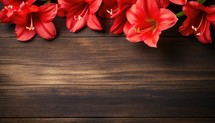 Amaryllis flowers on wooden background. Top view with copy space
