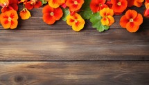Nasturtium flowers on wooden background. Top view with copy space