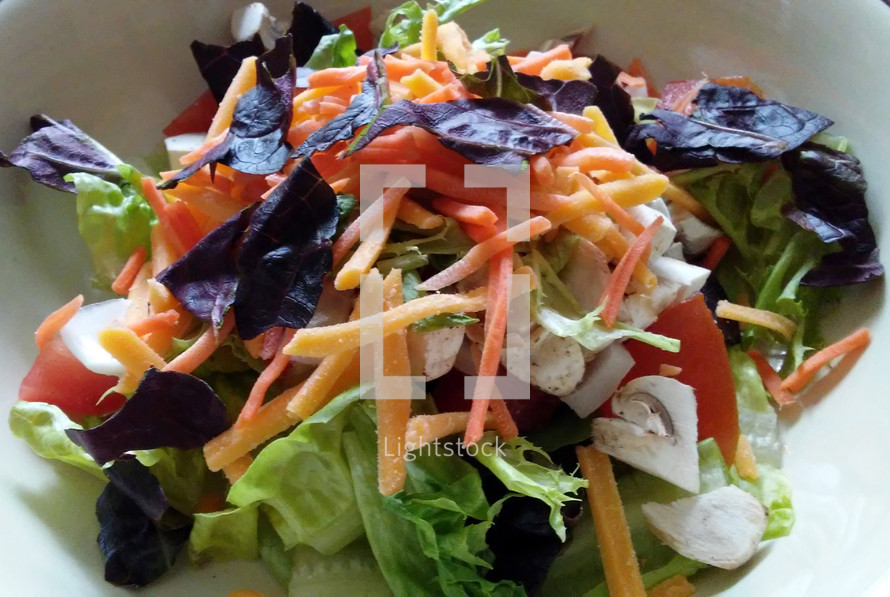 A healthy salad with lettuce, carrots, cheese, tomato and other vegetables to make a healthy meal. 