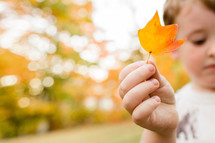 a boy holding a fall leaf 