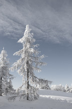 Winter landscape with heavy frost covered trees