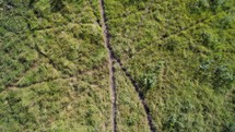 Drone footage of shacks and trails in green, tropical field of Honduras