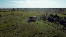 Drone footage of shacks built in tropical, green field of Honduras