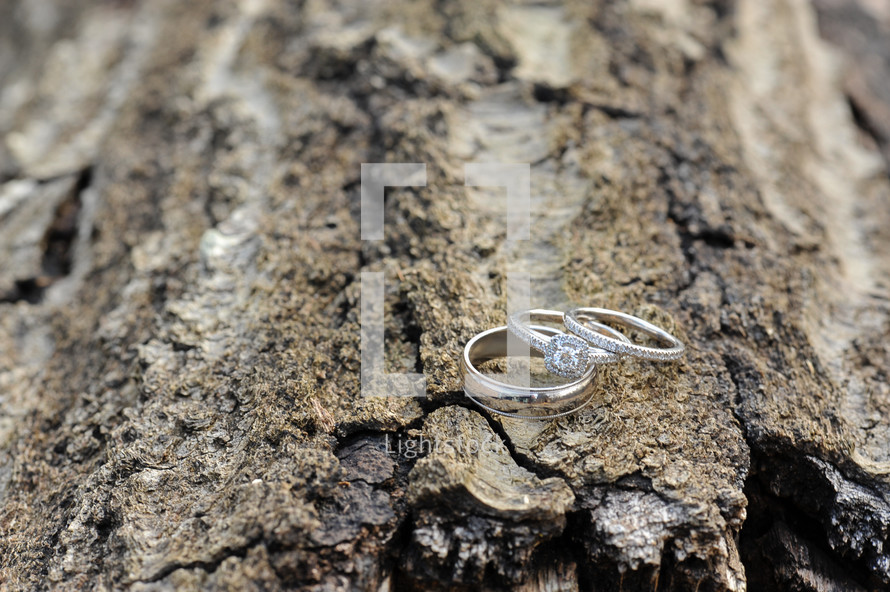 engagement ring and wedding band on a bark